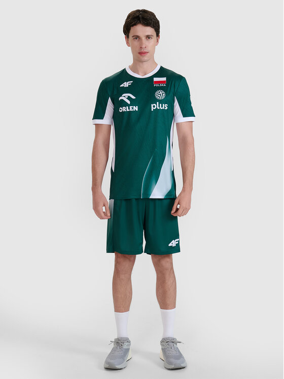 4F 4F Szorty sportowe TEAMWEAR Kolorowy Regular Fit