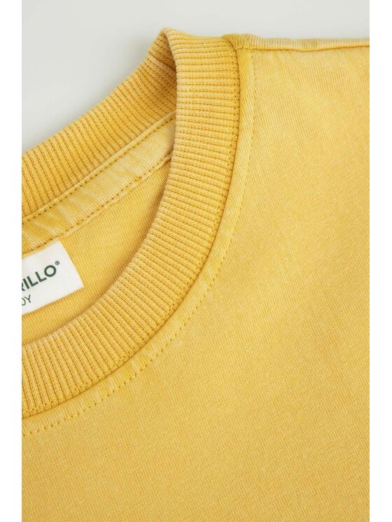 Coccodrillo Coccodrillo T-Shirt WC6143206FBJ-026 Żółty Regular Fit