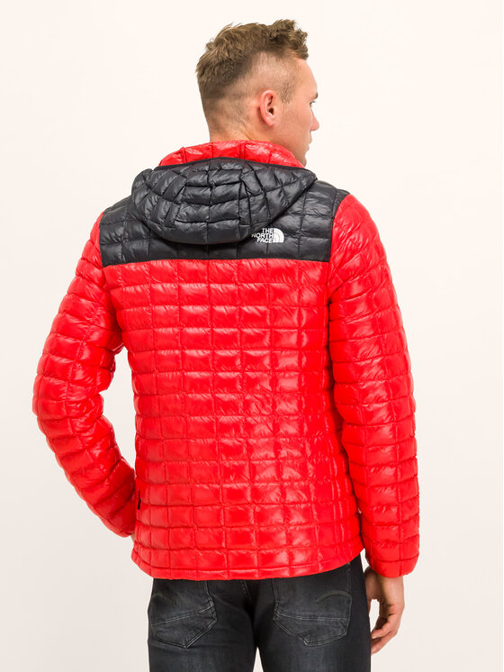 The North Face Daunenjacke Thermoball Eco NF0A3Y3M Rot Slim Fit Modivo