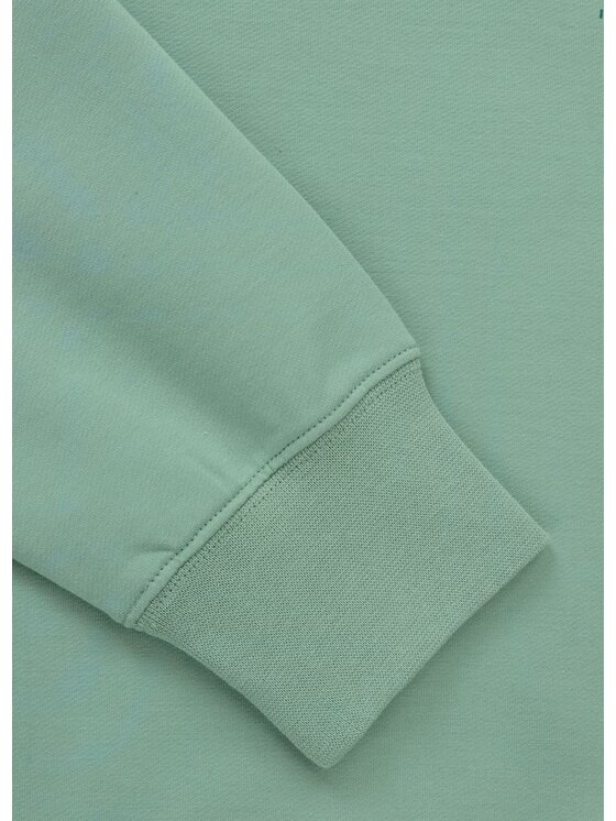 PITBULL PITBULL Bluza SMALL LOGO NUGGET Zielony Regular Fit