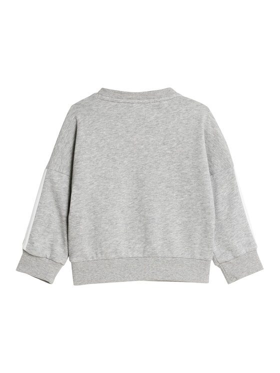 adidas adidas Treniņtērps Essentials JV9852 Pelēks Regular Fit