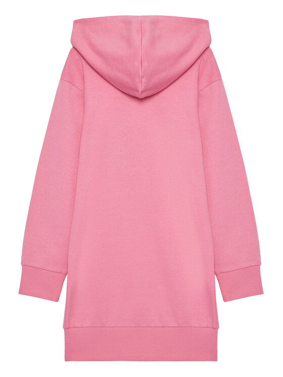 Guess Guess Haljina za svaki dan J5YK04 KA6R4 Ružičasta Regular Fit