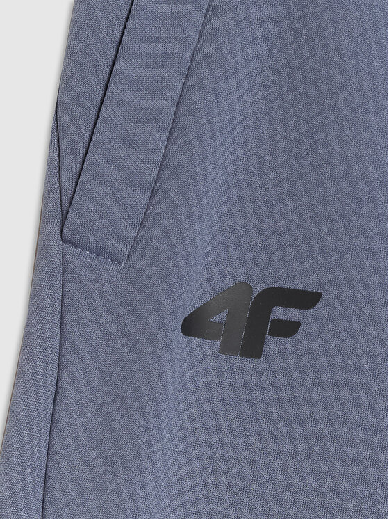 4F 4F Spodnie dresowe APRES SKI Regular Fit