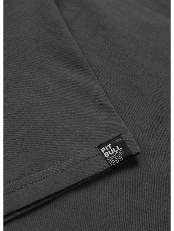 PITBULL PITBULL T-Shirt NORTON Szary Regular Fit