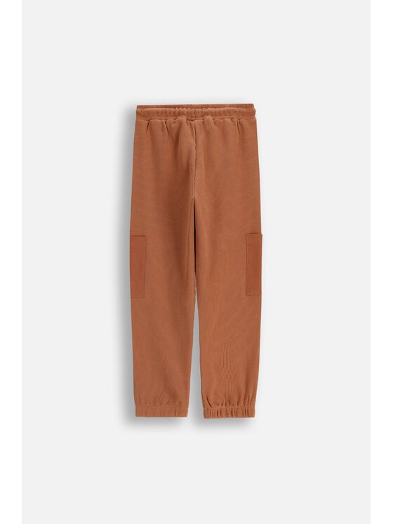 Coccodrillo Coccodrillo Teplákové kalhoty ZC5120103YBK-018 Hnědá Regular Fit