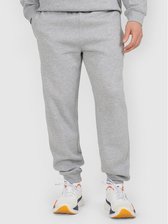 4F 4F Spodnie dresowe WINTER CODE Szary jasny Regular Fit