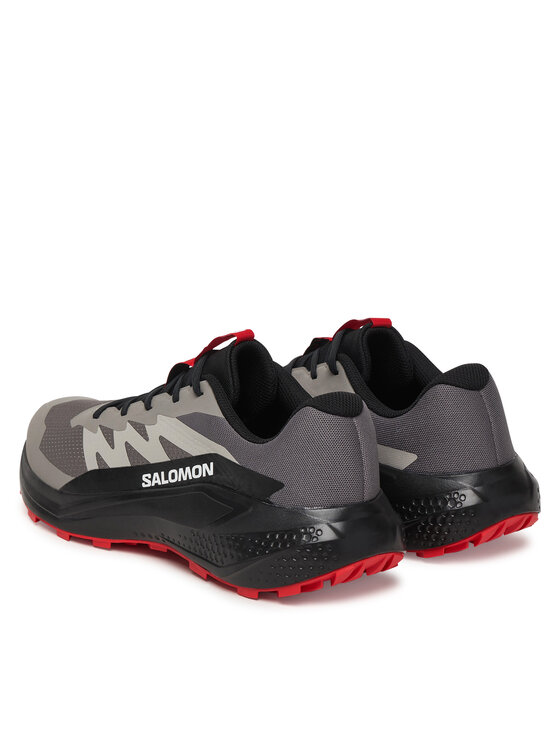 Salomon Salomon Běžecké boty Alphaglide L48000800 Šedá