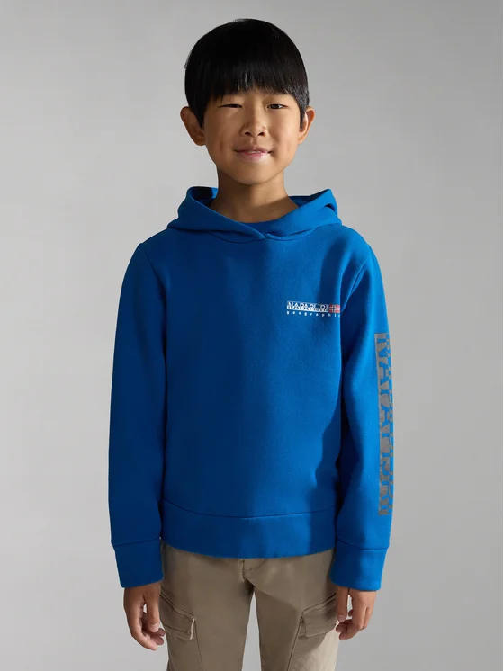 Napapijri Sweatshirt NP0A4HG8 D Blau Regular Fit