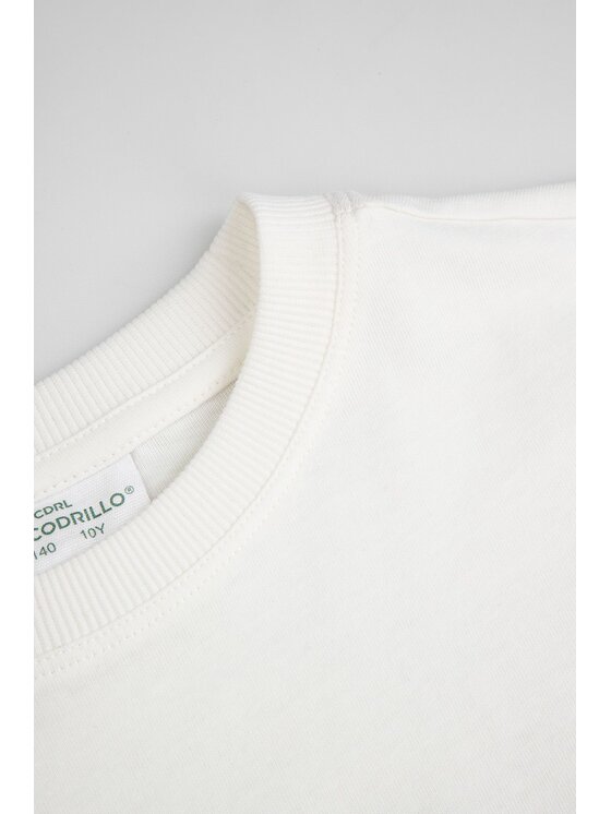 Coccodrillo Coccodrillo T-Shirt ZC6143202RBJ-003 Krémová Regular Fit