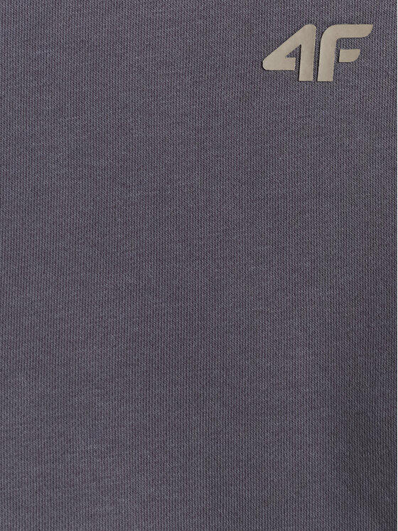 4F 4F Bluza ENJOY THE OUTDOORS Szary ciemny Loose Fit