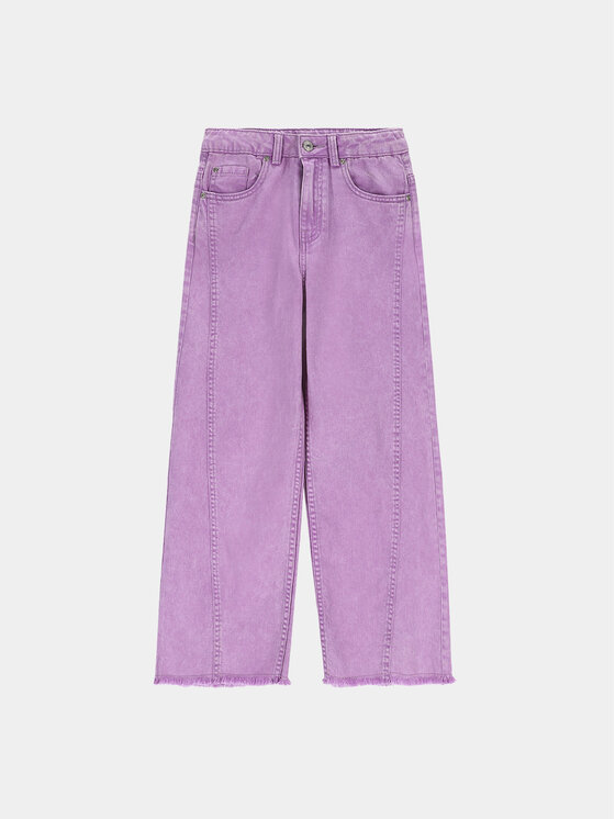 Coccodrillo Coccodrillo Jeans hlače ZC3123102JCG Vijolična Regular Fit