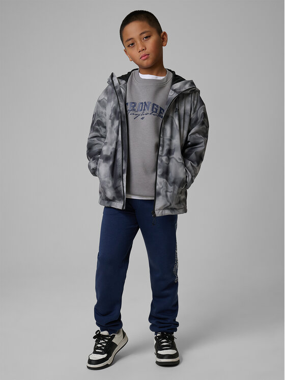 4F 4F Kurtka przejściowa OUTERWEAR Kolorowy Regular Fit