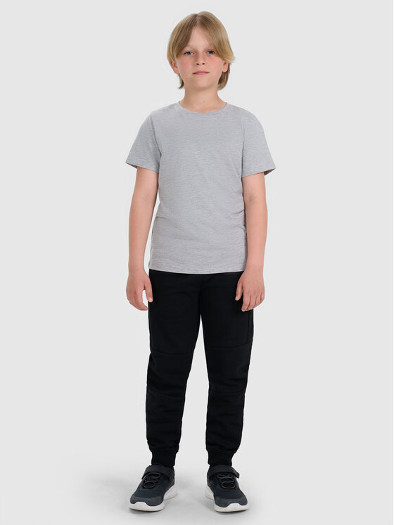 4F 4F T-Shirt BASIC+ Szary Regular Fit