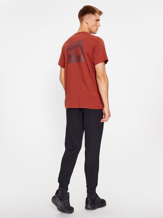 The North Face The North Face Majica Redbox Celebration NF0A7X1K Rjava Regular Fit