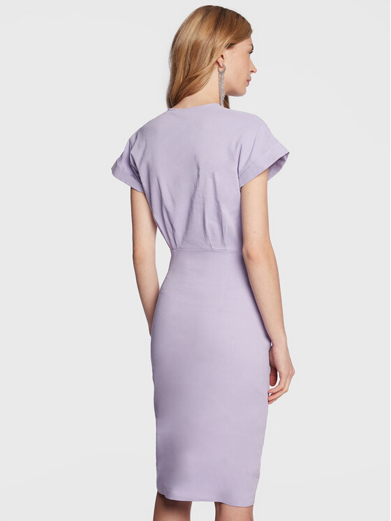 PINKO Pinko Kleid für den Alltag Agitato 100532 A0IM Violett Regular Fit