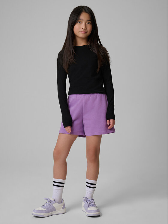4F 4F Szorty sportowe BASIC+ Fioletowy Regular Fit