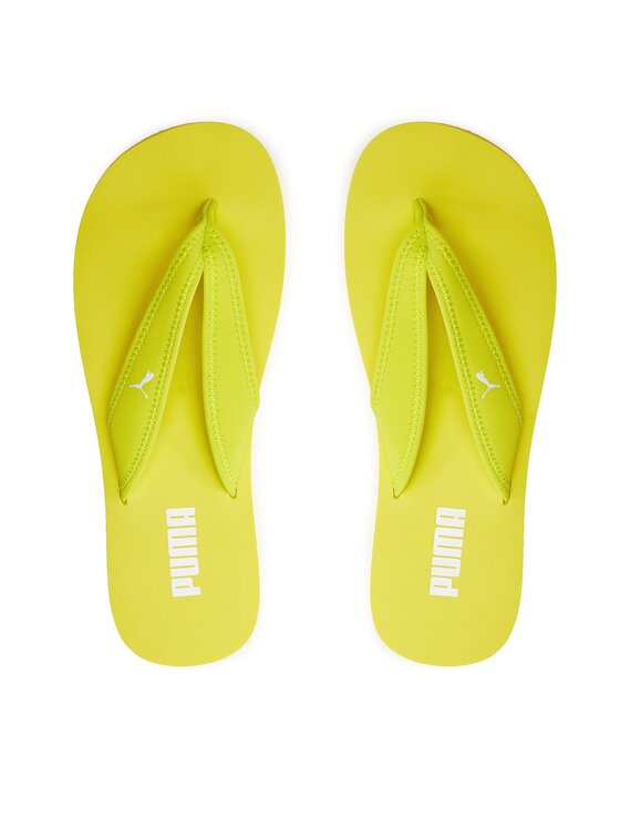 Sandy and puma clearance