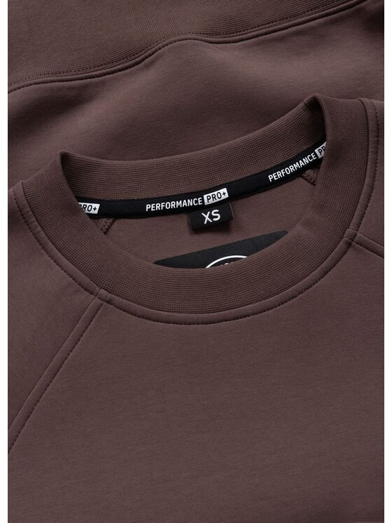 PITBULL PITBULL Bluza DISCOVERY Brązowy Regular Fit