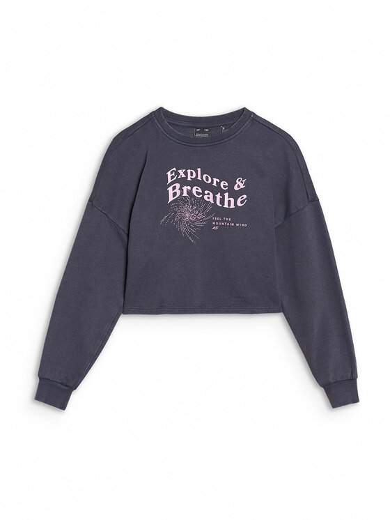 4F 4F Bluza ESCAPE TO NATURE Szary ciemny Regular Fit
