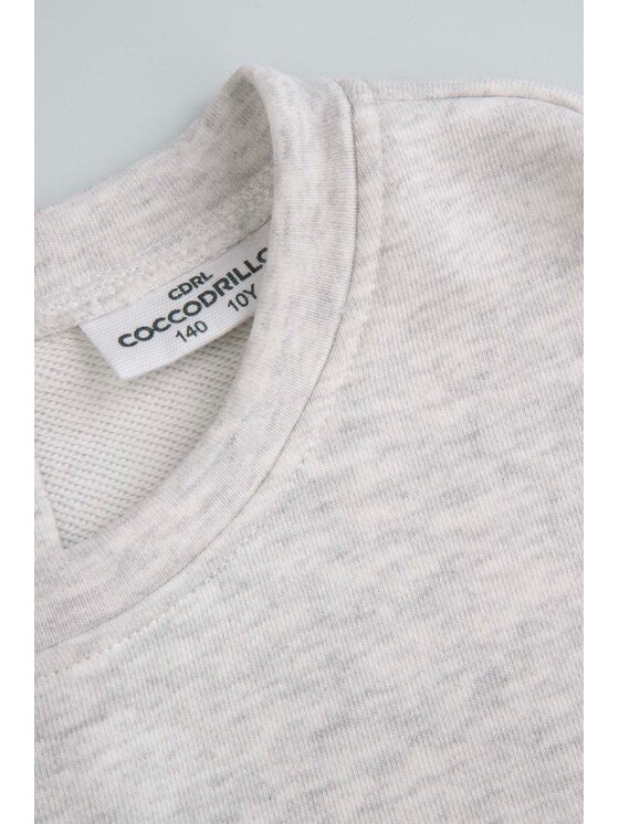 Coccodrillo Coccodrillo Bluza ZC5132601WGJ-019 Szary Regular Fit
