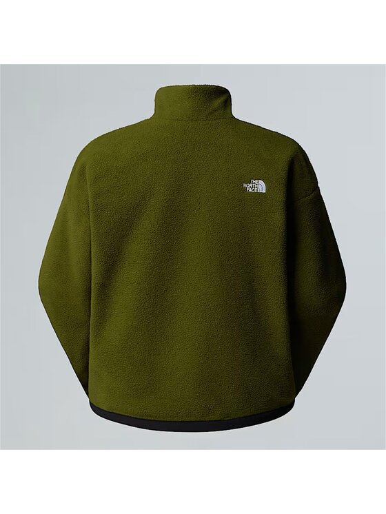 The North Face The North Face Kurtka przejściowa NF0A89GTDOB1 Zielony Regular Fit