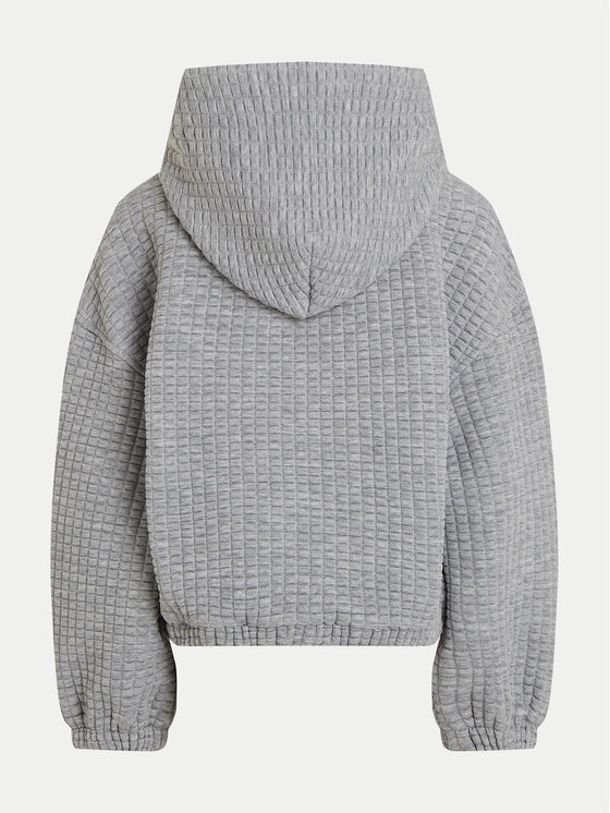 Calvin Klein Jeans Calvin Klein Jeans Sweatshirt IG0IG02544 Grau Regular Fit
