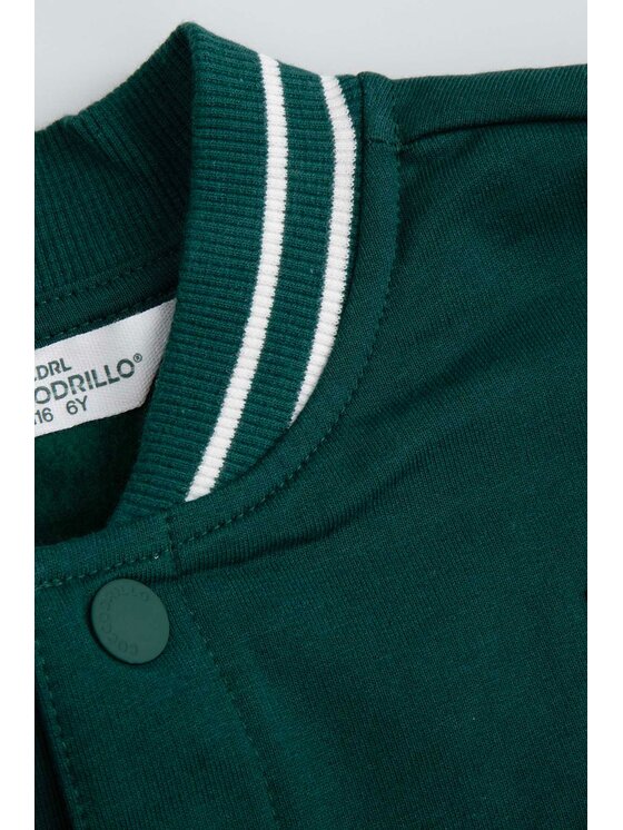 Coccodrillo Coccodrillo Mikina ZC5132601ABK-011 Zelená Regular Fit