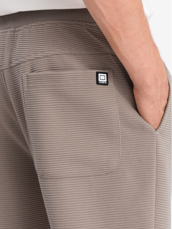 Ombre Ombre Spodnie dresowe OM-PASK-0129 Szary Regular Fit