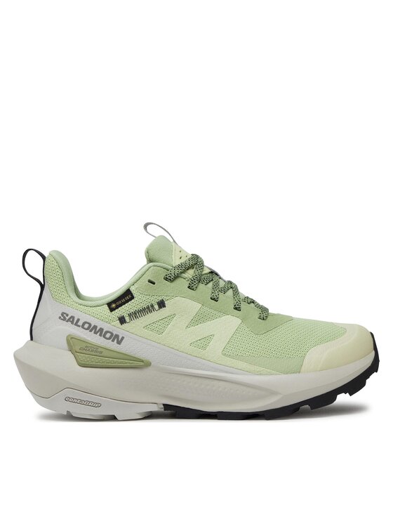 Salomon Snīkeri Elixir Activ Gore-Tex L47456300 Zaļš