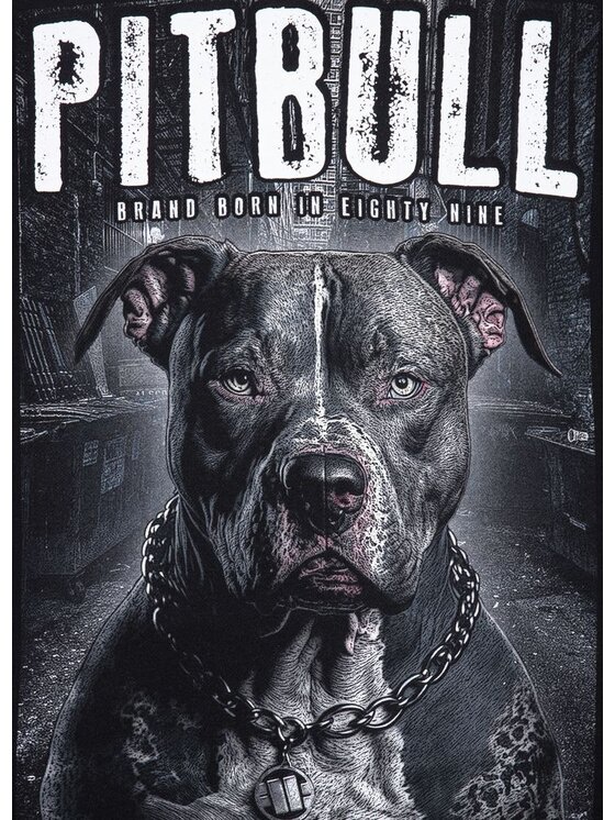 PITBULL PITBULL Bluza Bluza Czarny Regular Fit