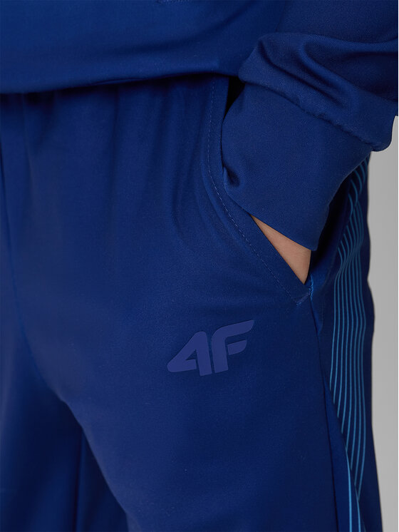 4F 4F Spodnie dresowe AQUA FORCE Kolorowy Regular Fit