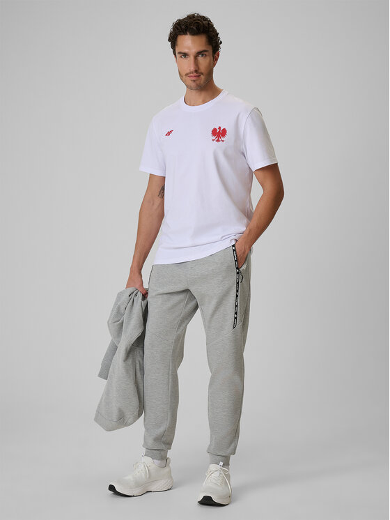 4F 4F Joggery STREFA KIBICA Szary jasny Regular Fit