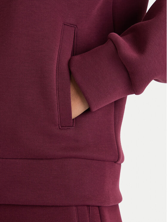 EA7 Emporio Armani EA7 Emporio Armani Džemperis ar kapuci 7W000675 AF13151 M5064 Bordo Regular Fit