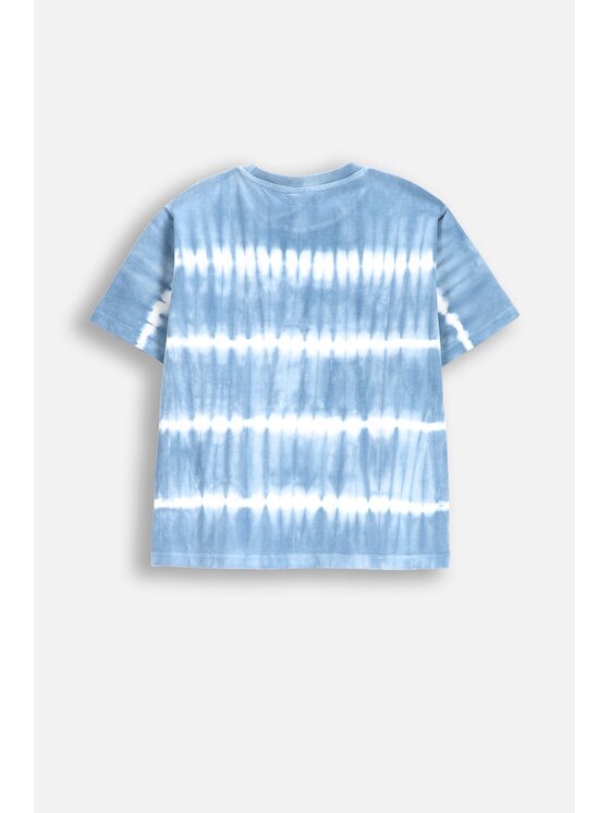 Coccodrillo Coccodrillo T-Shirt WC5143205HBJ-014 Niebieski Regular Fit
