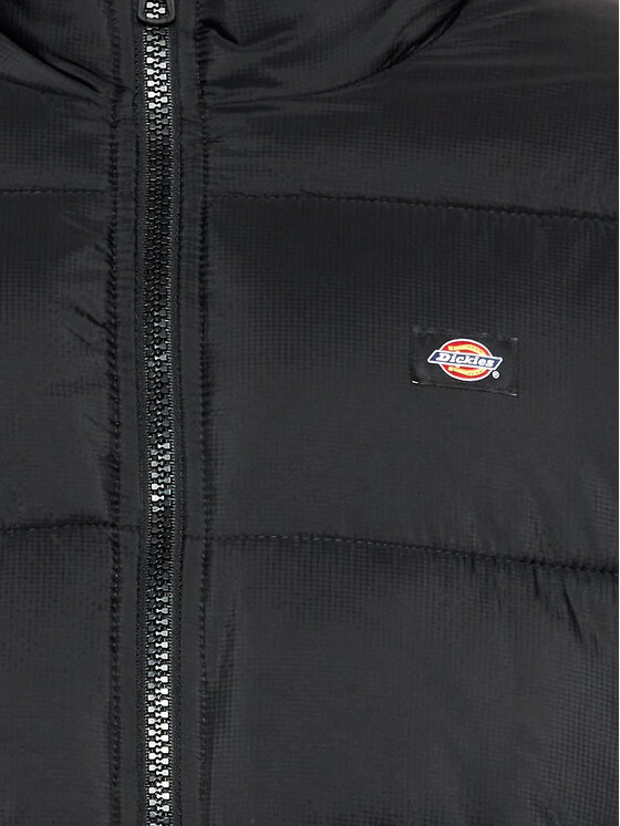 Dickies Dickies Bunda pro přechodné období Waldenburg DK0A4XP2BLK Černá Regular Fit