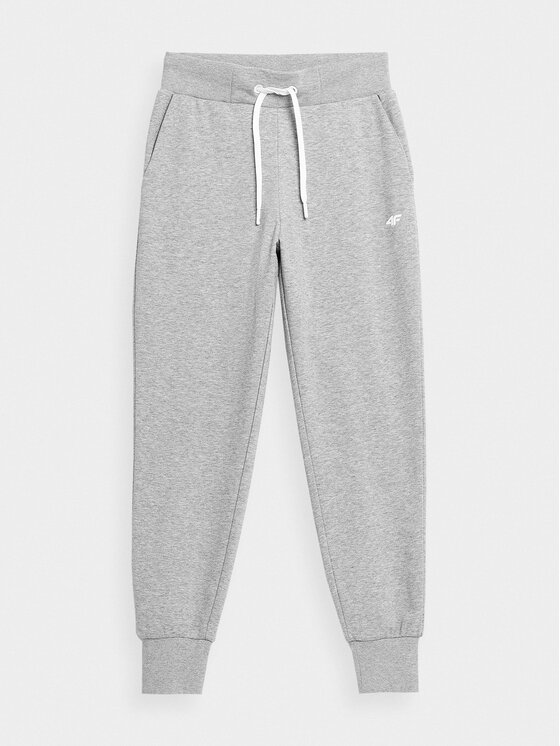 4F 4F Sporta bikses 4FSS23TTROF229 Pelēks Regular Fit