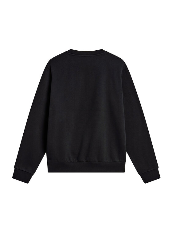 The North Face The North Face Bluza Evolution Simple Dome NF0A8D60JK31 Czarny Regular Fit