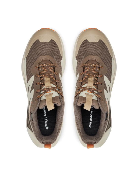 Salomon Salomon Tenisice Elixir Activ Gore-Tex L47456400 Smeđa