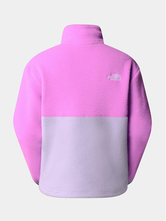 The North Face The North Face Flis NF0A8843 Ljubičasta Regular Fit