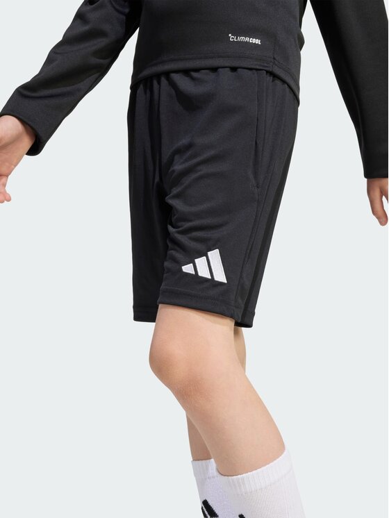 adidas adidas Sportshorts Entrada26 Training Schwarz Regular Fit