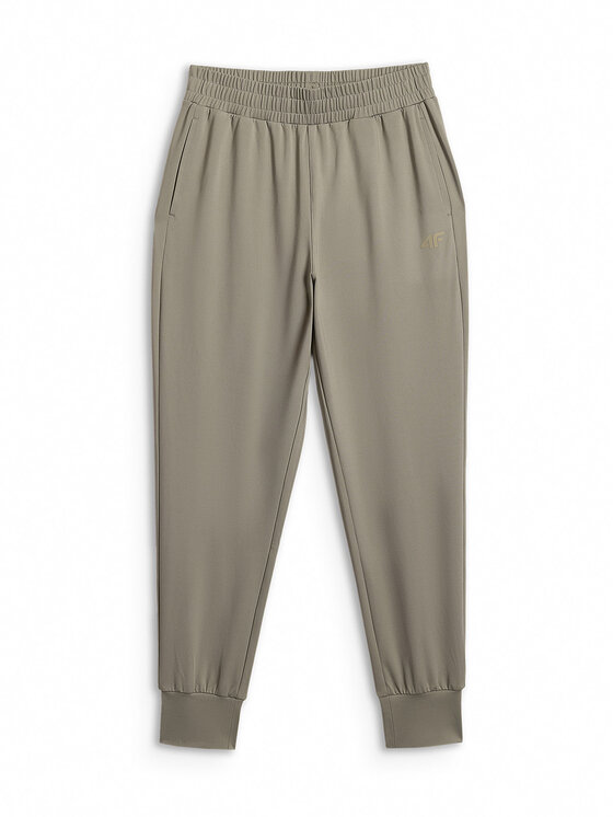 4F 4F Spodnie dresowe MULTI ACTIVE Zielony Regular Fit