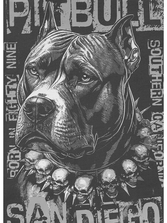 PITBULL PITBULL T-Shirt BLACKY Szary Regular Fit