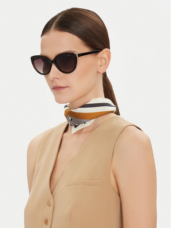 Polaroid Polaroid Päikeseprillid C PLD 4176/S/X Pruun