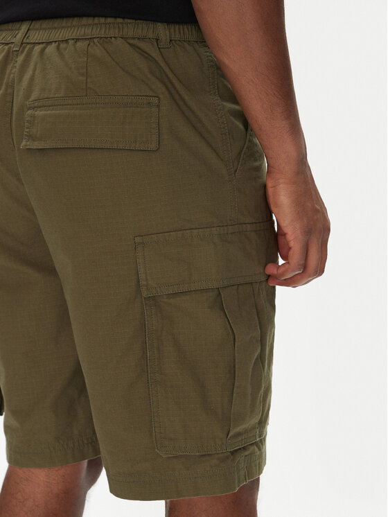 DC DC Stoffshorts Tundra ADYWS03086 Grün Regular Fit