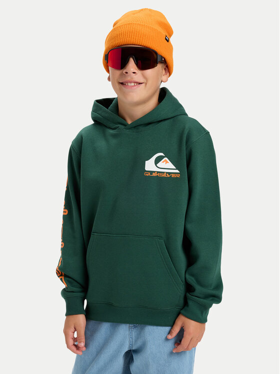Quiksilver Quiksilver Mikina Omni Logo EQBFT03951 Zelená Regular Fit