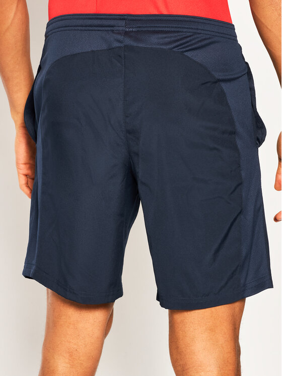 Nike Nike Sportshorts Dry Academy AR7656 Dunkelblau Standard Fit