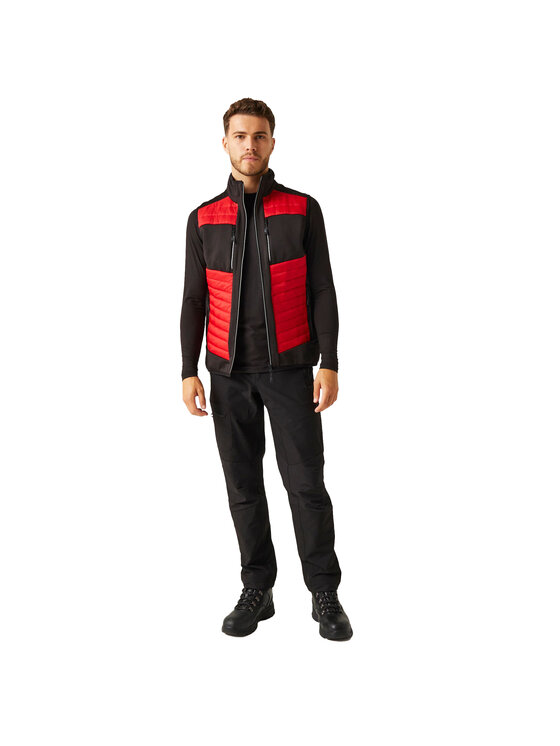 Regatta Regatta Kurtka outdoor E-Volve Czerwony Stretch Fit
