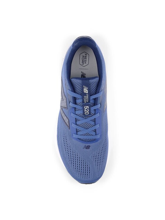 New Balance New Balance Scarpe running  Fresh Foam x 520 v9 M52028X Blu