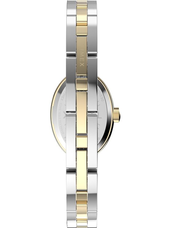 Timex Timex Hodinky TW2Y26800 Strieborná