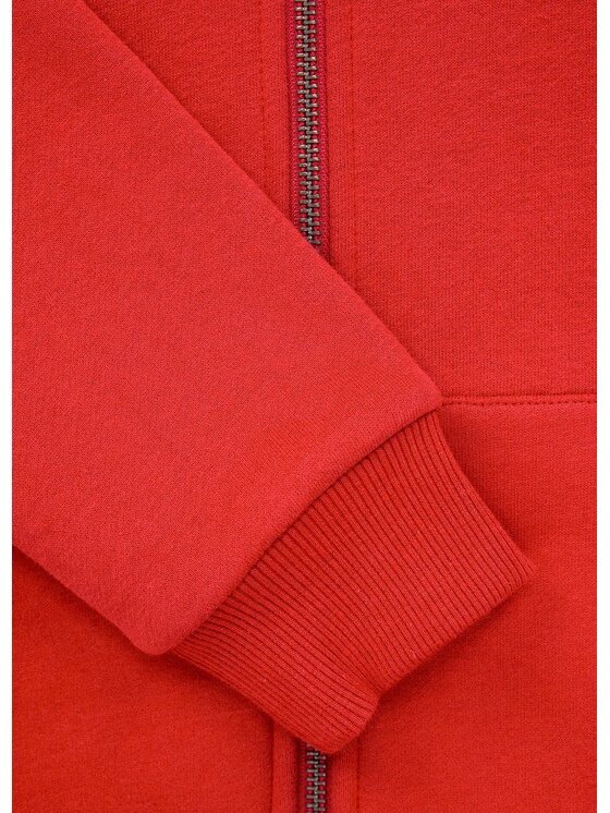 PITBULL PITBULL Bluza Hilltop Junior Pomarańczowy Regular Fit